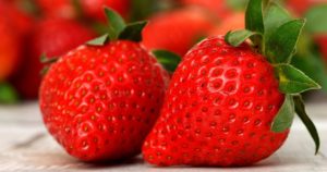 Les fruits du Fil Rouge, restaurant à Quimper, sont achetés en circuit court