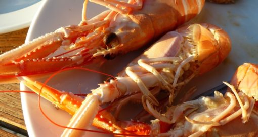 Langoustines cuisinées au Fil Rouge, restaurant à Quimper