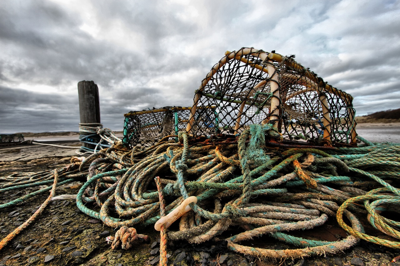 Pêche au casier