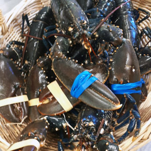 Réception de homards au Fil Rouge