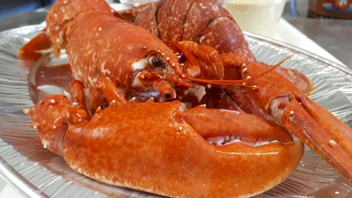 Une cuisine 100% faite maison - Restaurant Le Fil Rouge